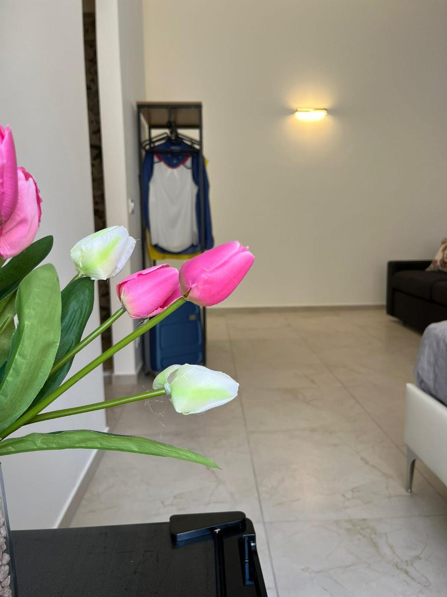 Sicilian Paradise Casa Vacanze カステッランマーレ・デル・ゴルフォ 部屋 写真